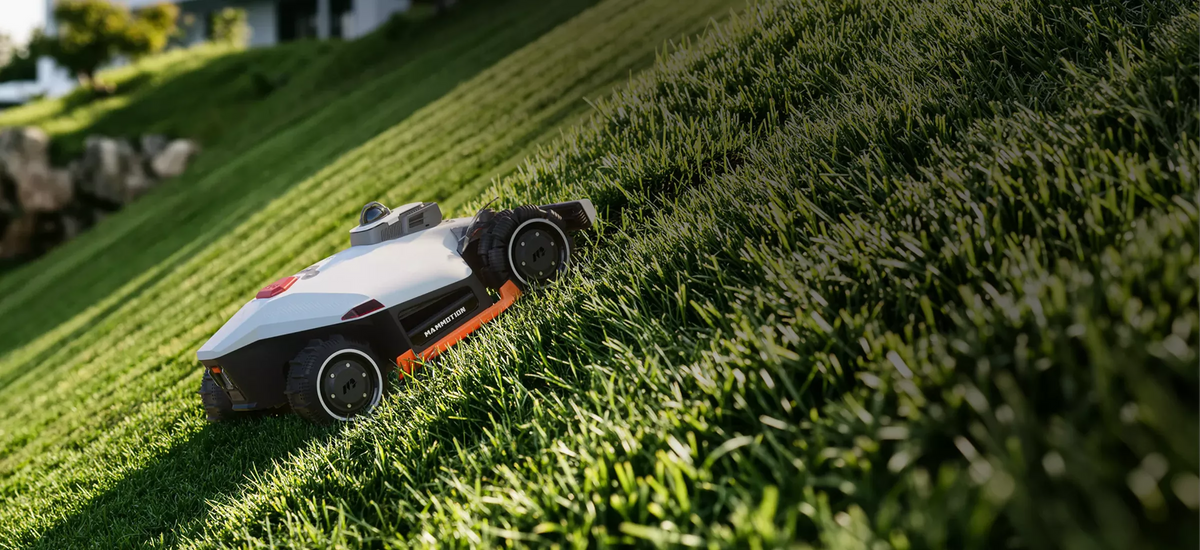 How Often Should a Robot Mower Mow? A Practical Guide to Mowing Frequency