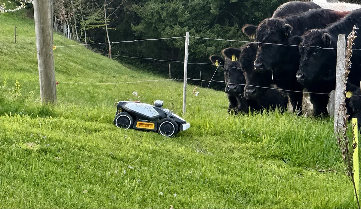 How to Mow a Lawn: Step-by-Step Guide for a Healthy, Even Cut