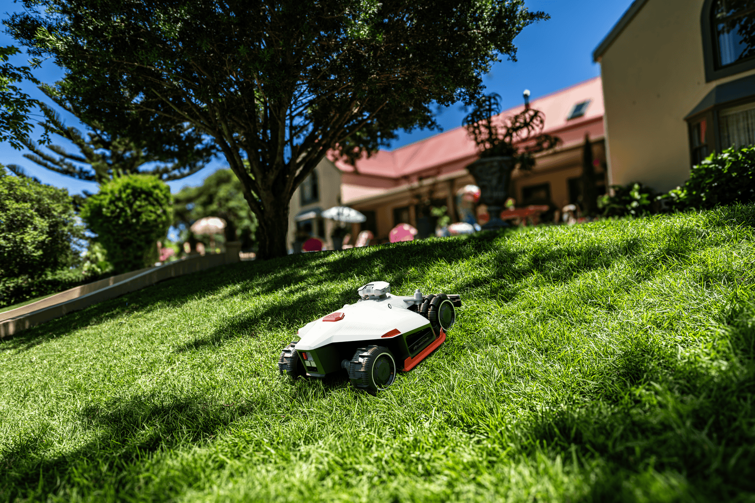 How Often Should You Mow Your Lawn with a Robot Mower?