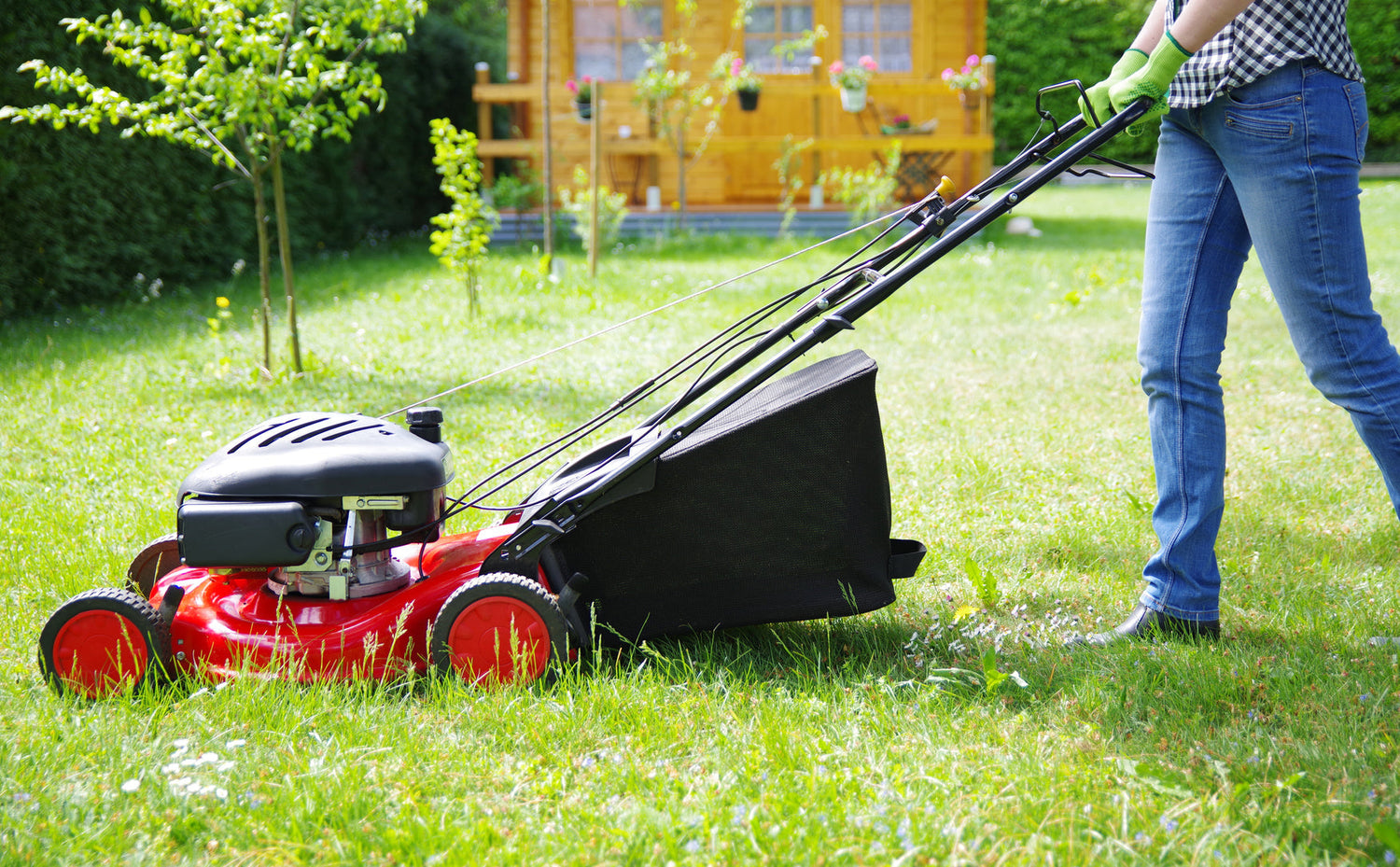 Lawn Mowing: How to Mow Your Lawn Correctly?