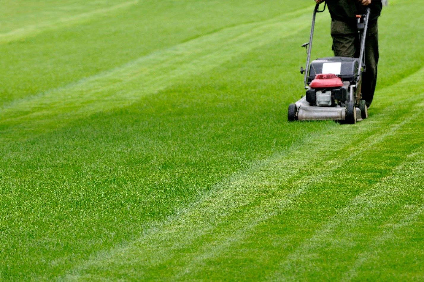 Best Time to Mow Lawn