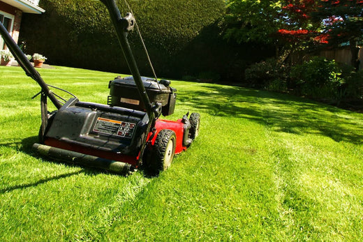 How to Dispose of an Old Lawn Mower?