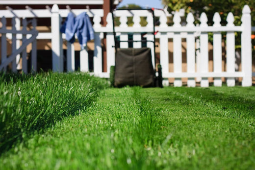 Spring Green Lawn Care Prep: How to Clean Up Your Lawn