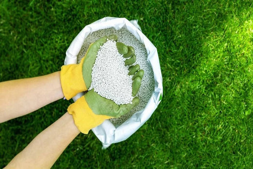 Spring Lawn Fertilizer Guide: Choosing and Applying the Right Fertilizer