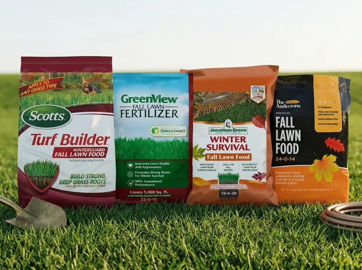 Best Winter Lawn Fertilizer
