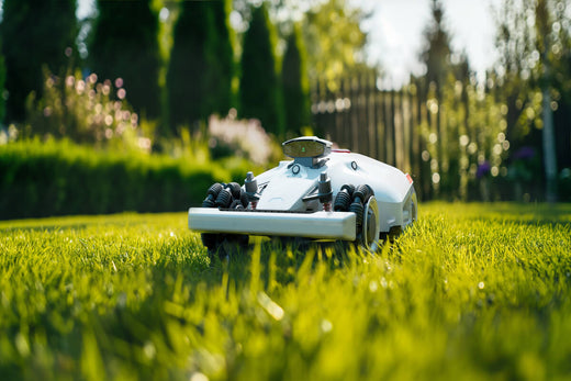 LUBA 2: Unlocking the Future of Smart Lawn Care