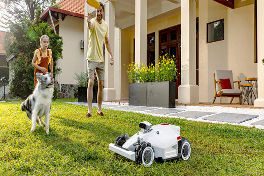 12 Benefits of Buying a Robotic Lawn Mower