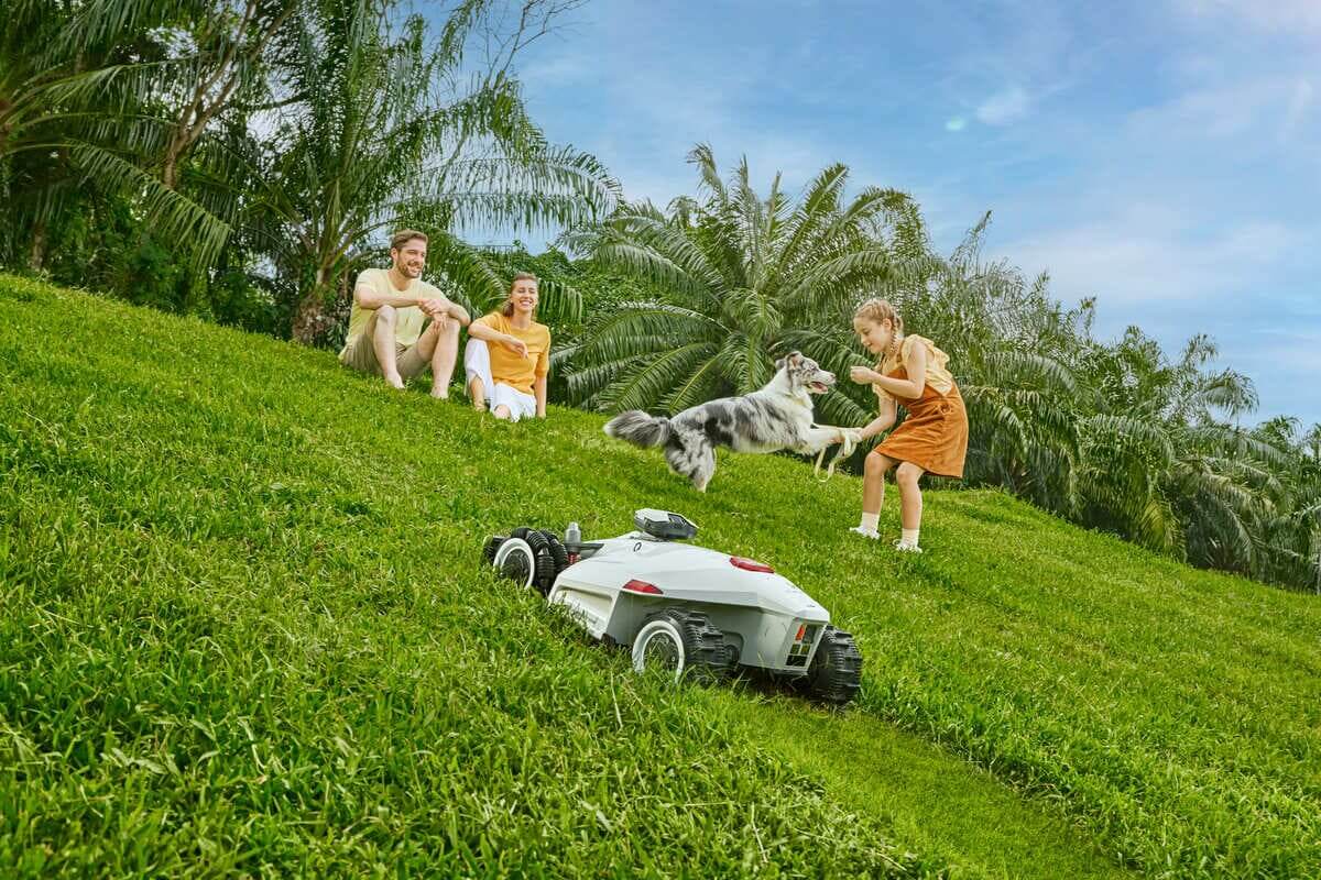 Best Lawn Mowers for Large Yards in 2024