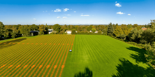 What Are Commercial Robotic Mowers and How Do They Work?