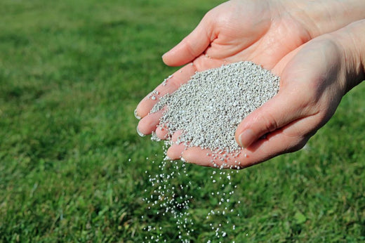Fall Lawn Fertilizer: How & When to Fertilize Your Lawn in the Fall