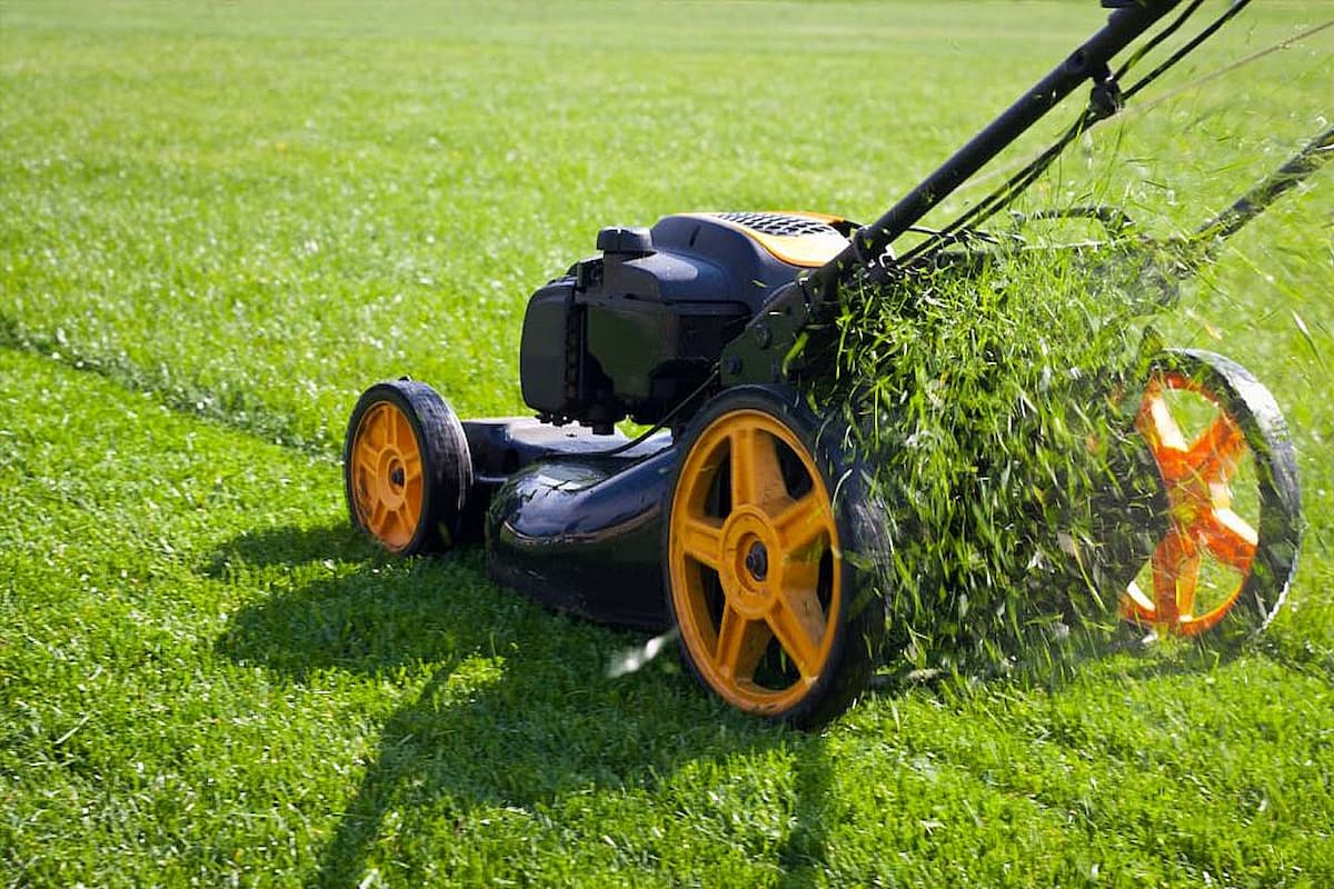 What Time of Year Is It Cheapest to Buy a Mower?