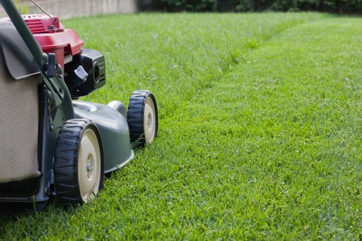 How Long Does It Take to Mow a Lawn?