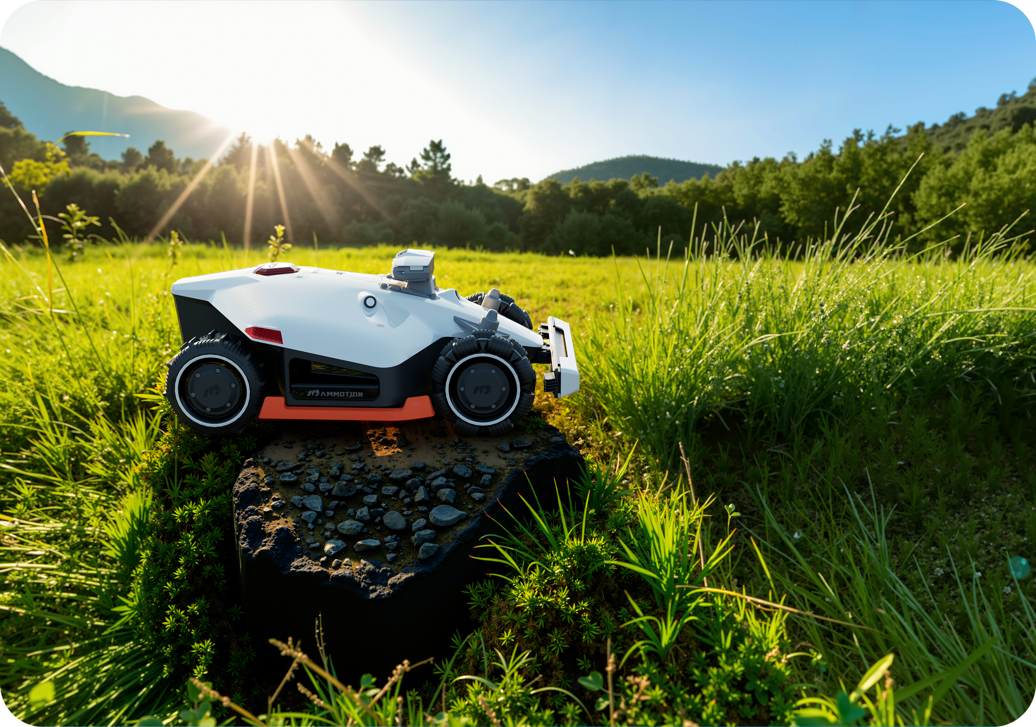 What Is the Best Robot Lawn Mower in 2025?