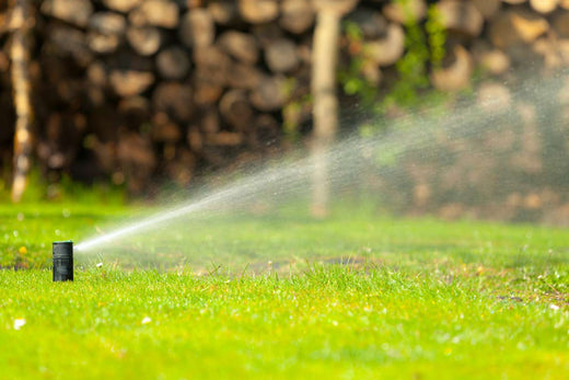 When to Stop Watering Lawn in Fall? 2025 Don't Make Mistakes!