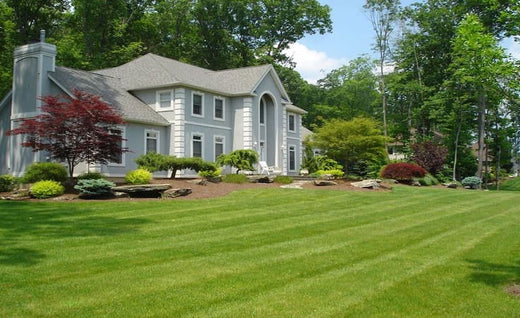 13 Fall Lawn Care Tips for A Beautiful Yard