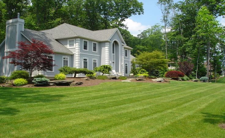 13 Fall Lawn Care Tips for A Beautiful Yard