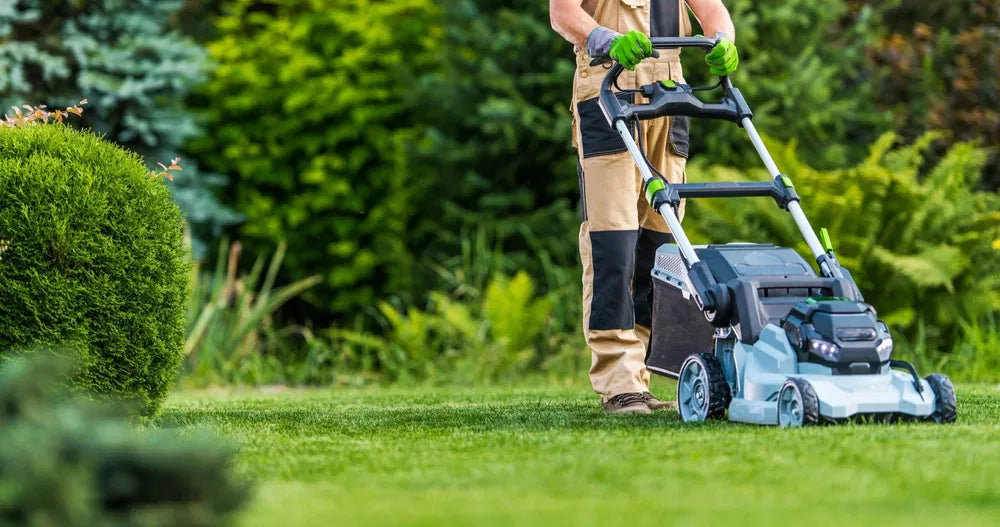 Cutting Wet Grass: Should You Do It? Dangers, Best Practices & Pro Tip
