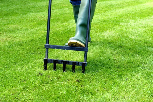 Aeration: When and Why Should I Aerate My Lawn?