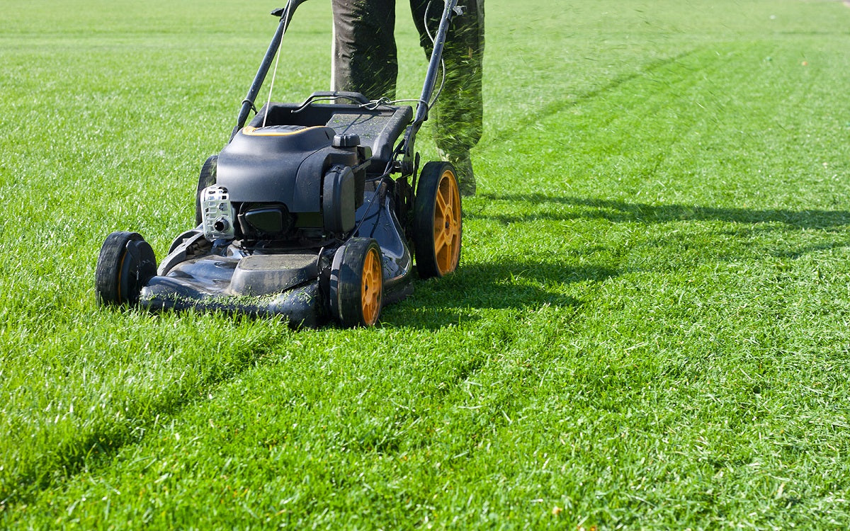 How Much Is a Normal Lawn Mower in 2025?