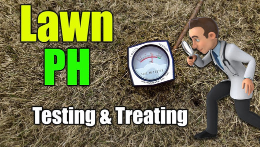 What is the Best pH for Lawns?