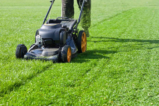 What Is the Optimal Grass Cutting Height?