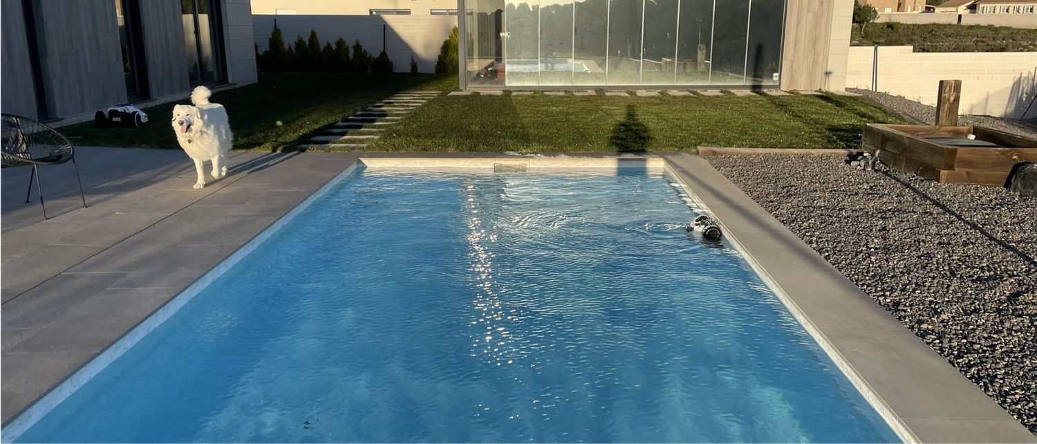 What’s the Best Type of Pool Cleaner for Your Needs?