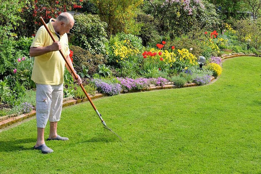 Spring Lawn Care 101: Getting Started with a Healthy Lawn