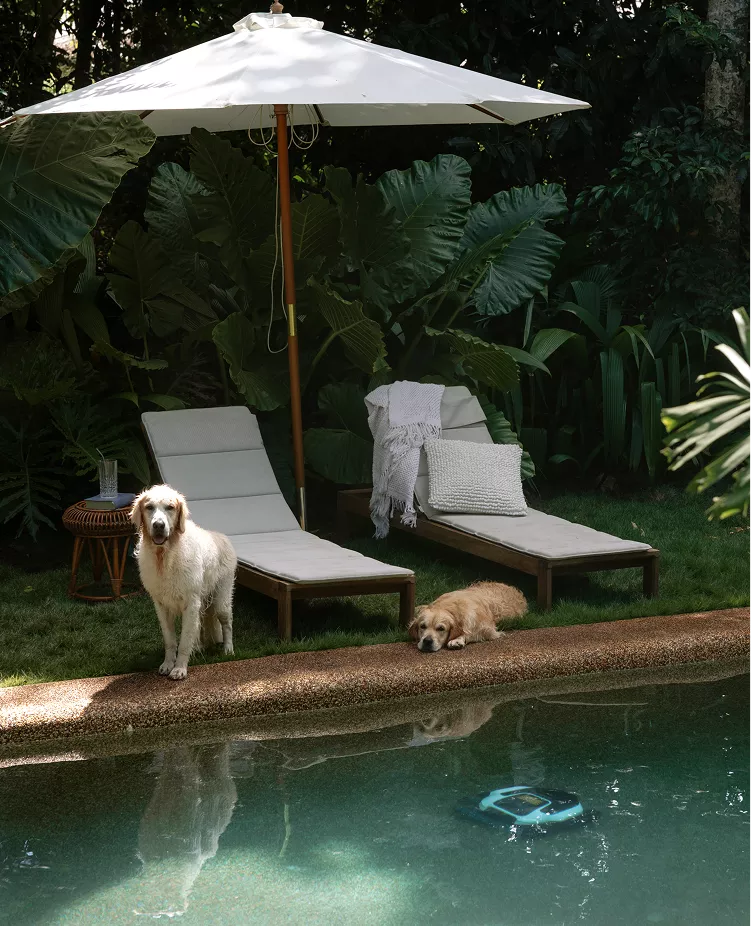 Family backyard pool