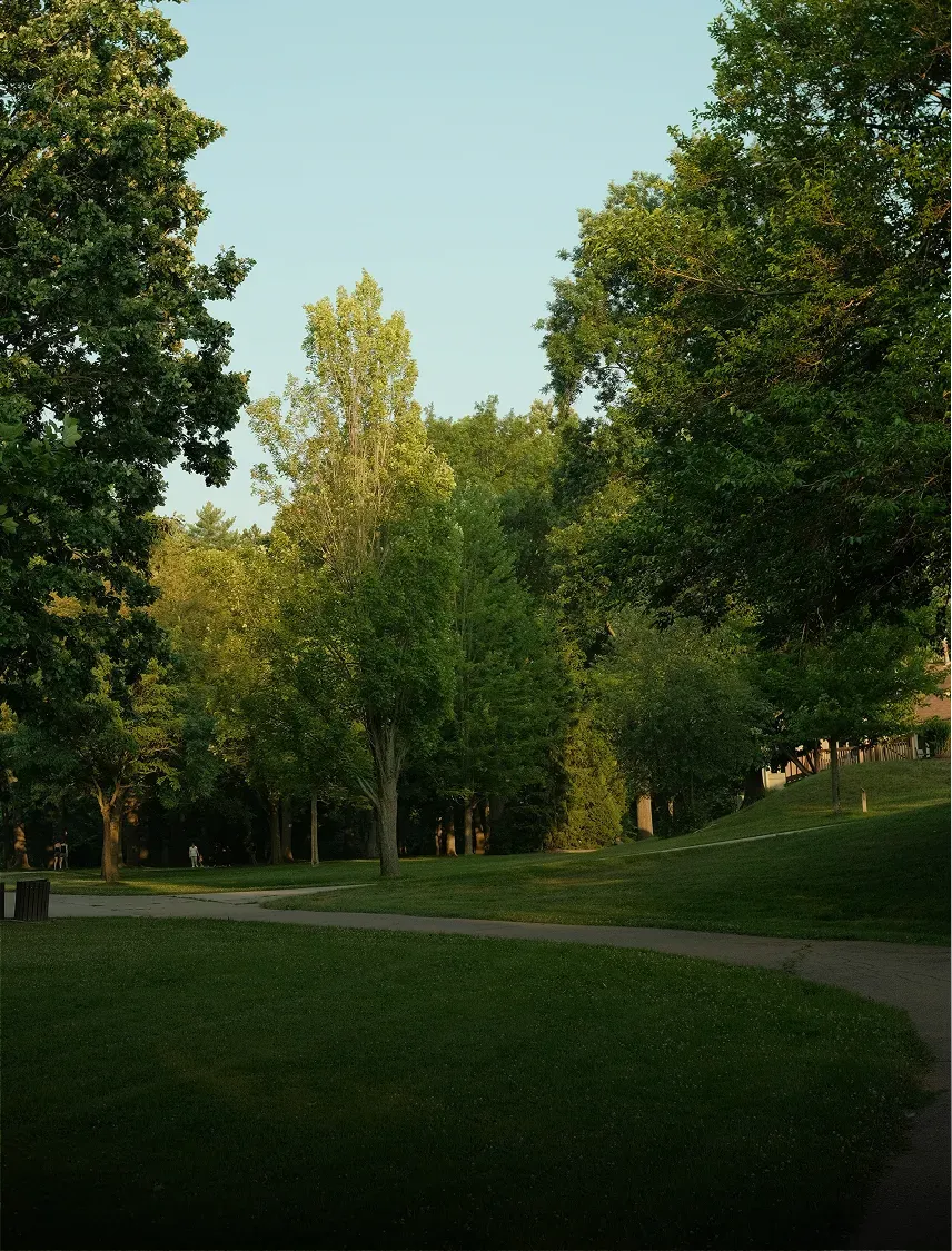 Public park lawn